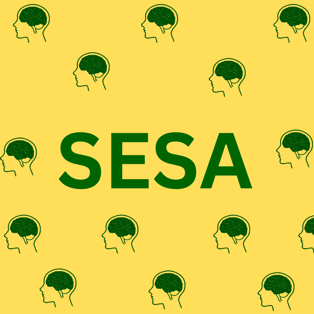 SESA in schools